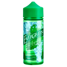 Apple Mint Apple Mint