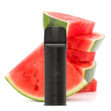 ELFA CP - Watermelon ELFA CP - Watermelon